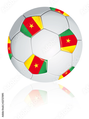 Camerun soccer ball