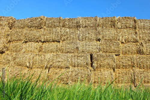 stack of straw photo