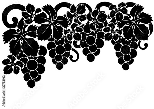 parra con uvas