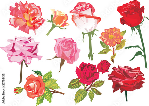 ten red and pink roses