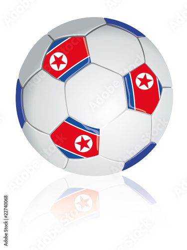 North Korea soccer ball.