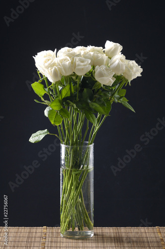 White rose in vase on black ground © brother wang