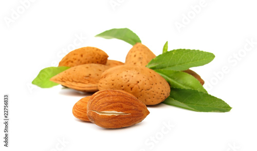 Almond with green leaves