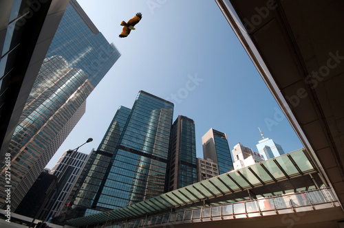 Photography Skyscrapers in hongkong