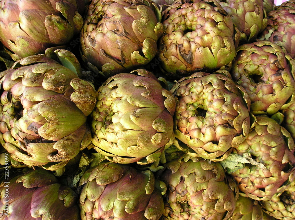 Fototapeta premium Carciofi (cynara cardunculus)
