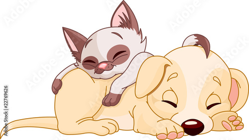 Puppy and Kitten