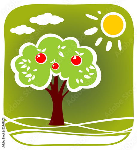 apple tree