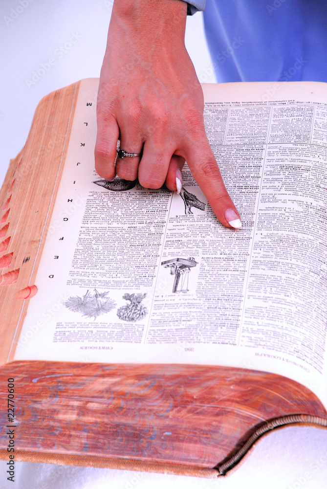 Naklejka premium Dictionary