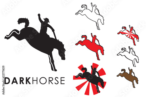 Kicking Horse Rodeo -Cavallo