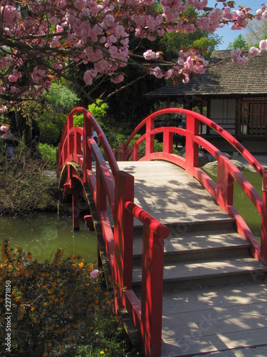 Jardin Japonais © Jimjag