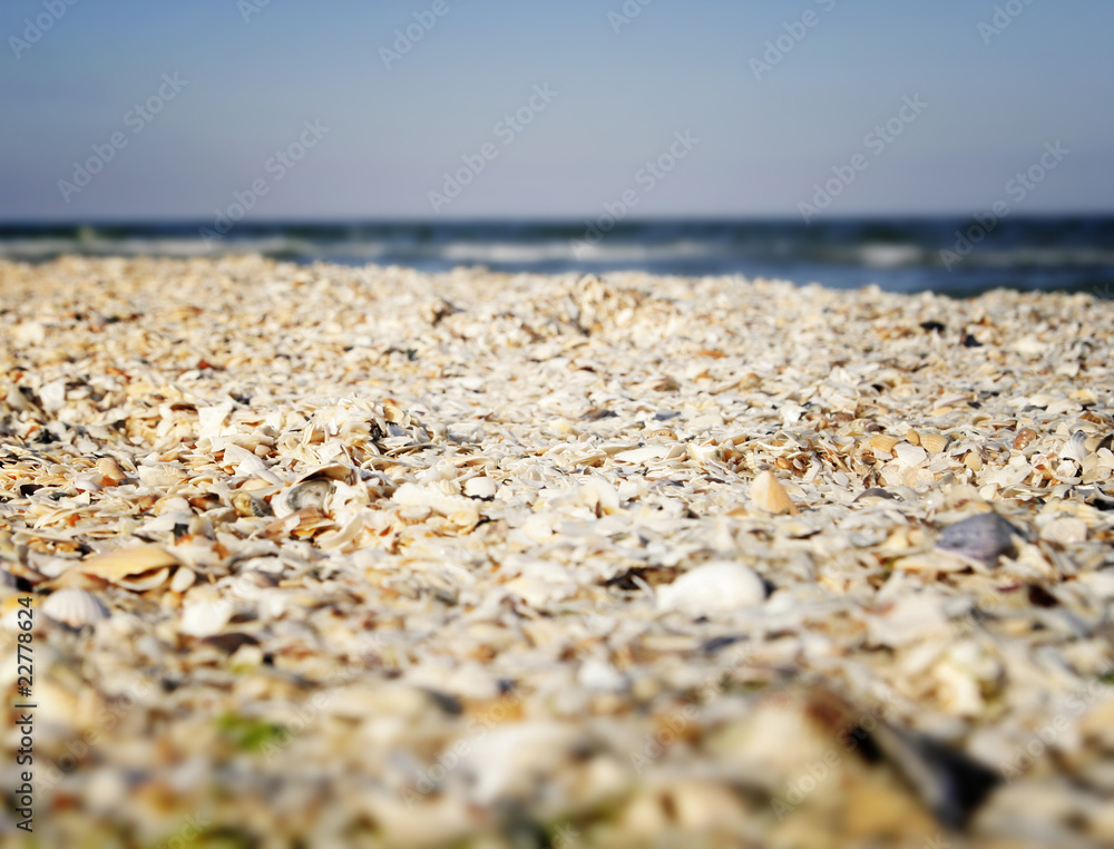Sand and shells on beach. Sand and shells on beach.