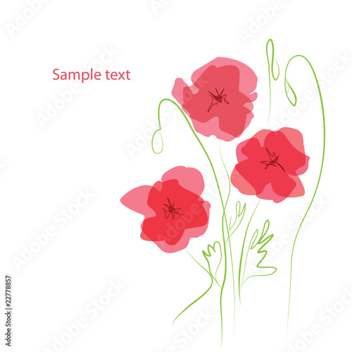 red poppies