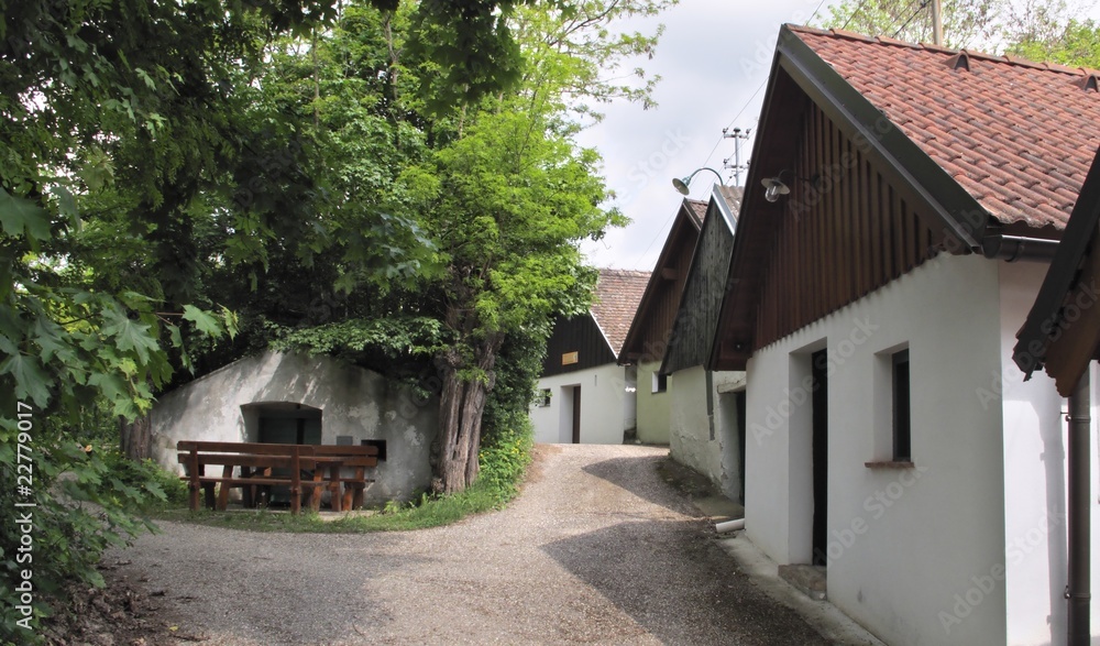 wine cellars in Pottenhofen