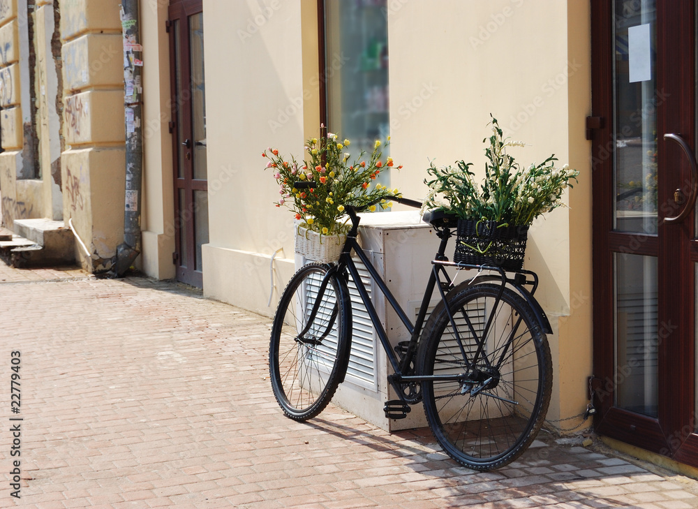 Bicycle with baskets of flowers