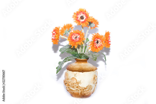 Obraz na plátně flowers in the pot