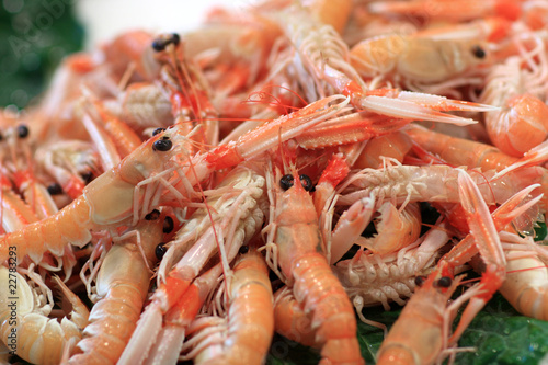 Boiled prawns on market