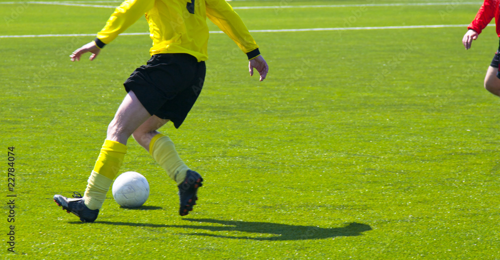 Obraz premium soccer player on the field