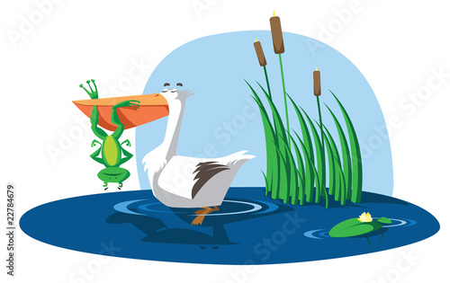Frog and Pelican