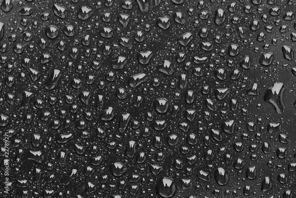 Rain droplets on a black plastic Rain droplets on a black plastic