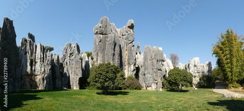 shilin stone forest