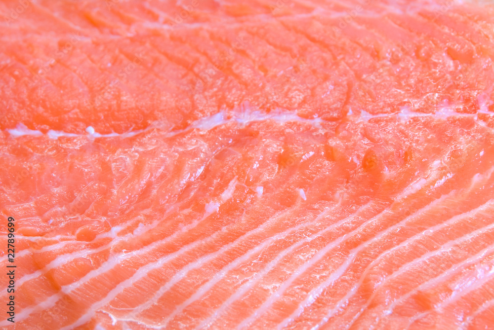 salmon closeup