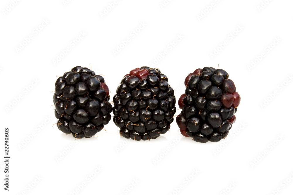 Blackberries Blackberries