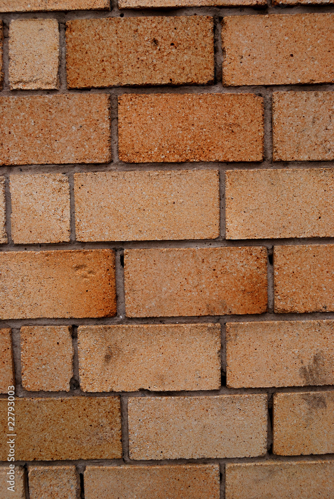 Fototapeta premium brick wall