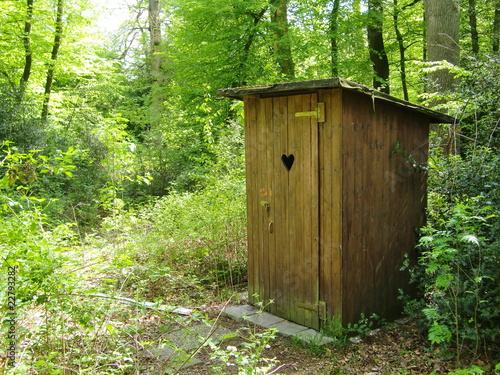 Tapety artystyczne Plumpsklo im Wald