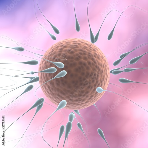 Slika na platnu 3d illustration of spermatozoon fecundating an ovule