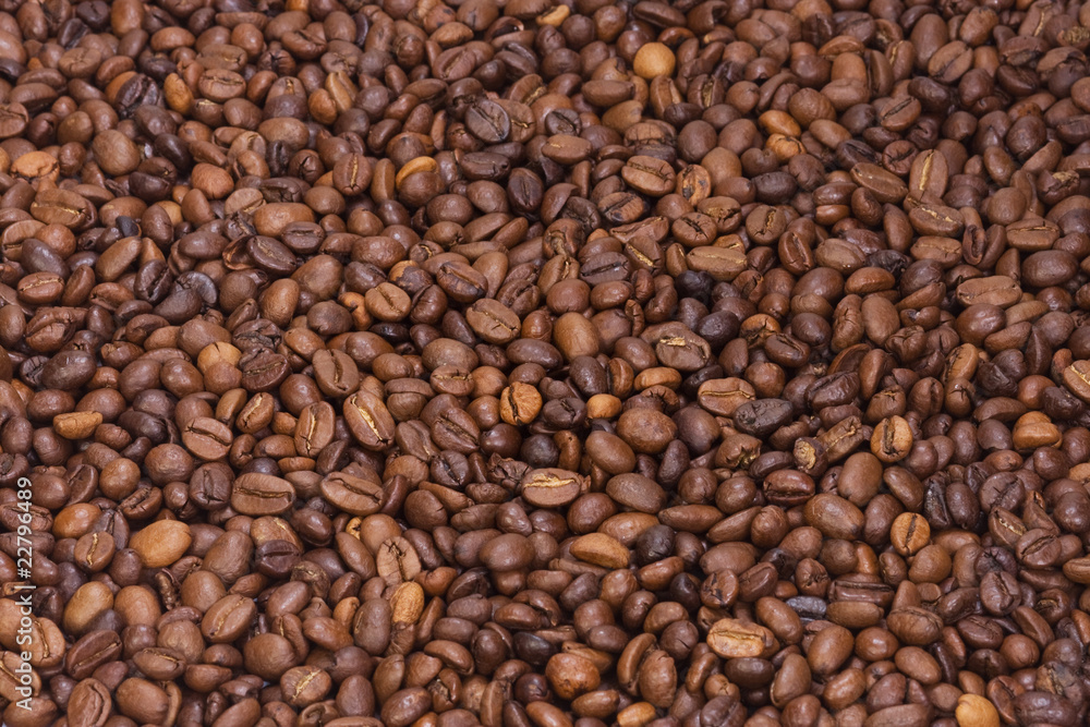 background from roasted coffee background from roasted coffee