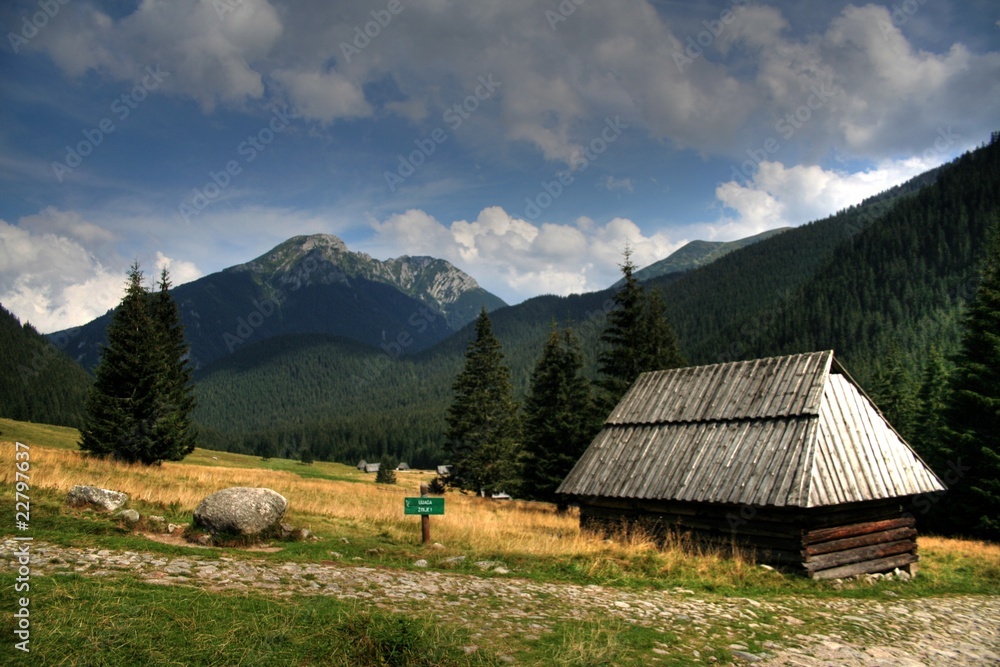 chatka w górach Stock Photo | Adobe Stock