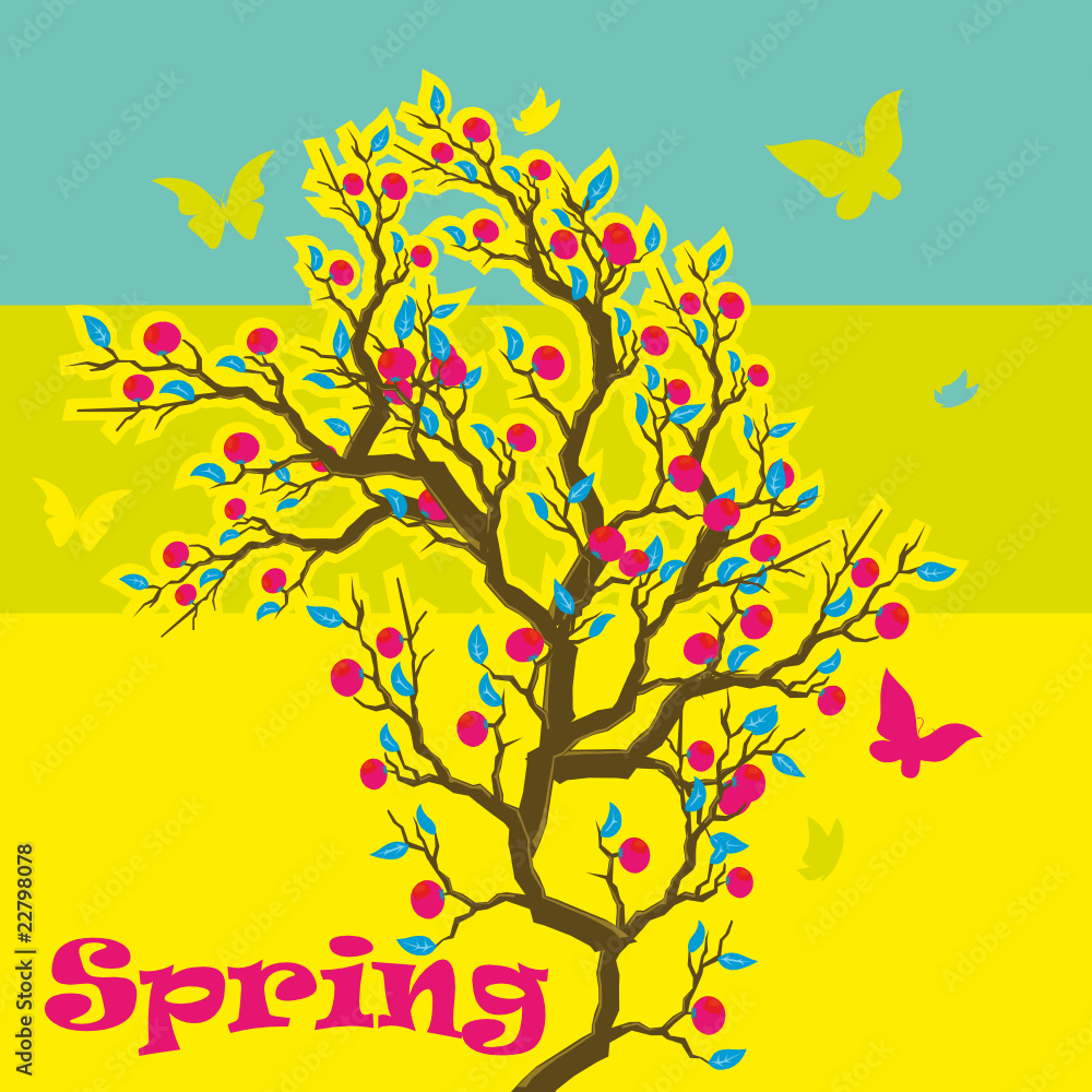 spring spring