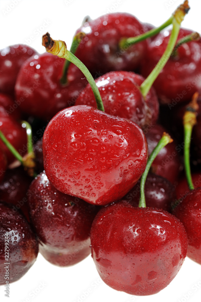 cherry on white background cherry on white background