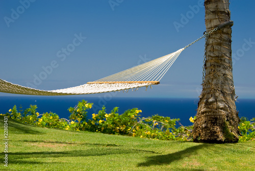 An inviting hammock in an island paradise