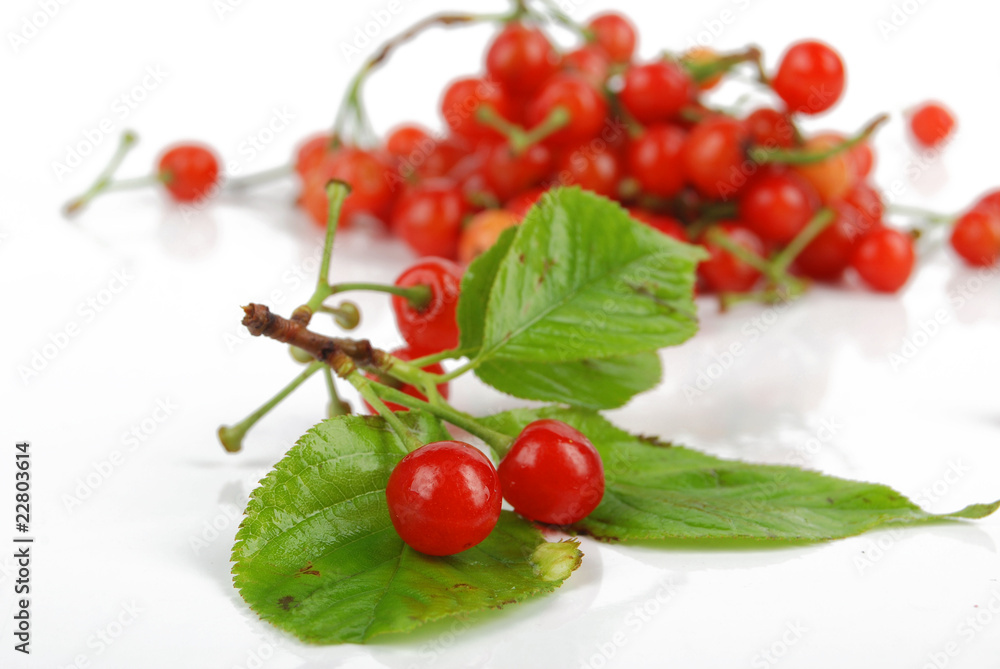cherries cherries