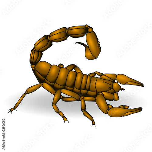 scorpion