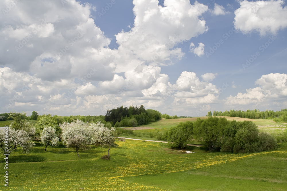 Springs landscape with blossoming apple-trees