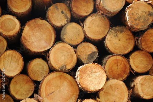 Closeup of a pile of logs