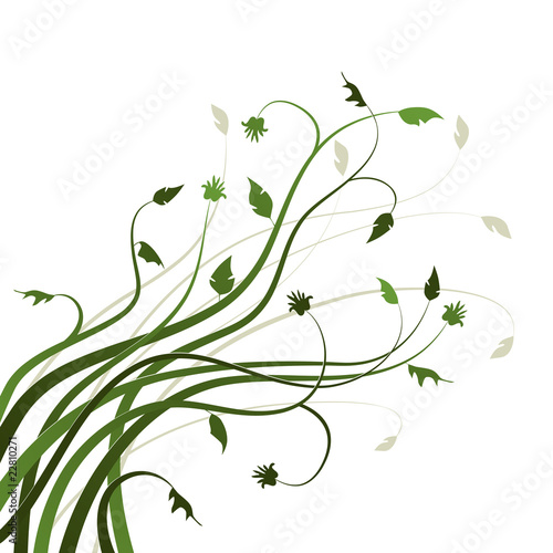 Floral Background, ornament, leaves and flowers