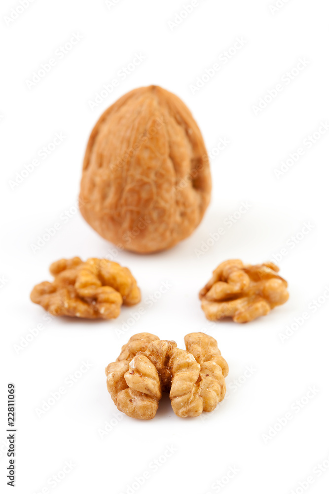 pieces and whole walnut over white background pieces and whole walnut over white background