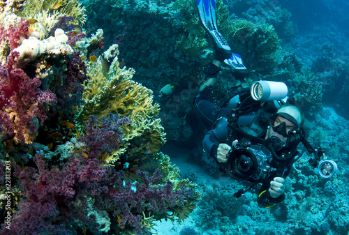 underwater photographer