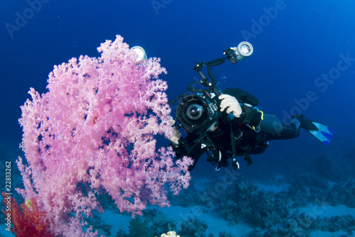 underwater camera man