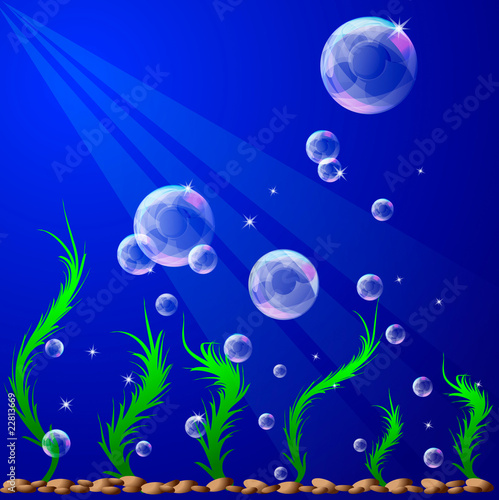 magical world of aquarium