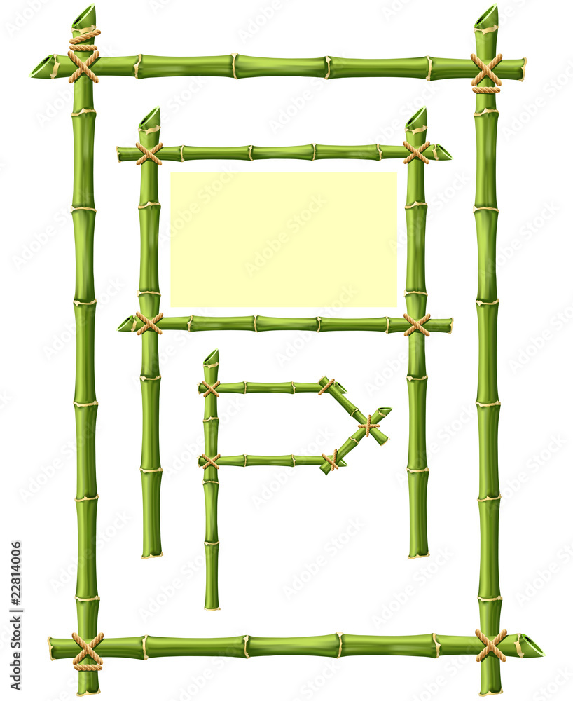 Obraz premium Bamboo Frame