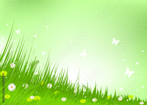 Meadow praise background