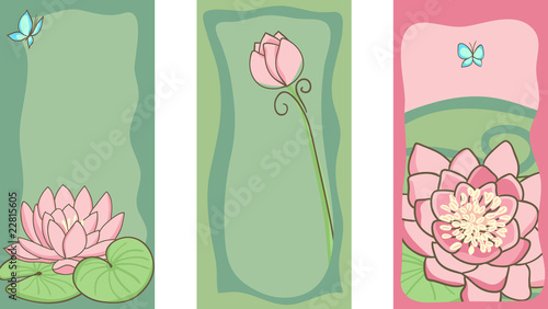 set of water lily cards