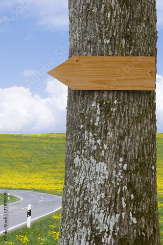 Holzschild am Baum