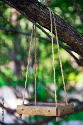 bird feeder hanging on the tree branch photo