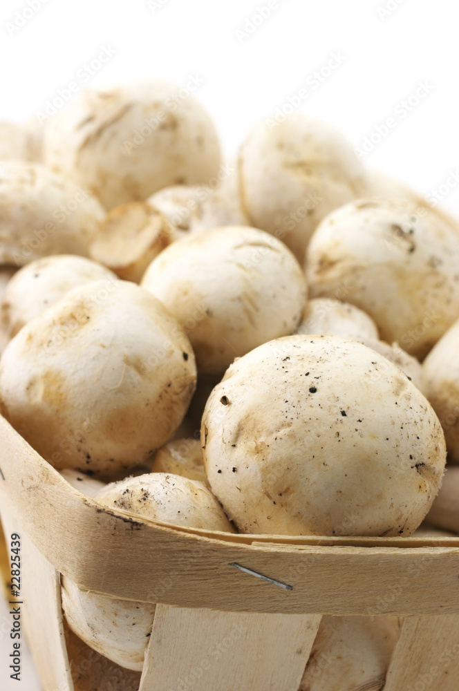 Mushrooms in basket close-up Mushrooms in basket close-up