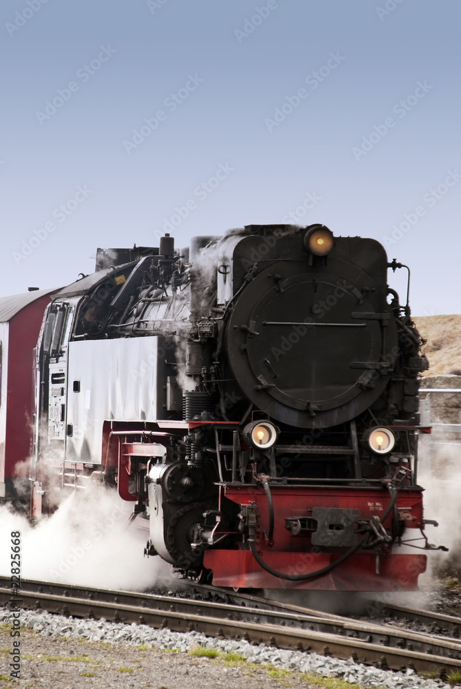 Fototapeta premium popędzać